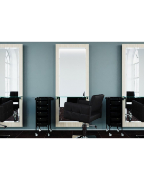 Парикмахерский комплект "ZARA"